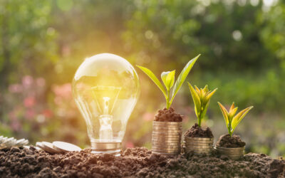 Vida útil de los paneles solares y el rendimiento de la inversión 